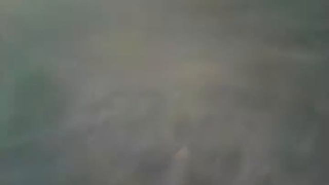 Жужа валит) смотреть онлайн