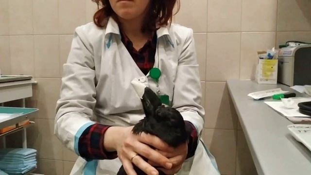 И снова Моргана на приеме у доктора смотреть онлайн