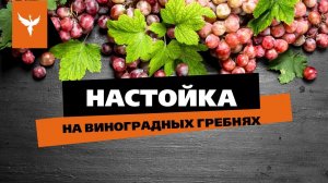 рДЖ 64. Настойка на виноградных гребнях  Простой способ сделать «коньяк» буквально из ничего