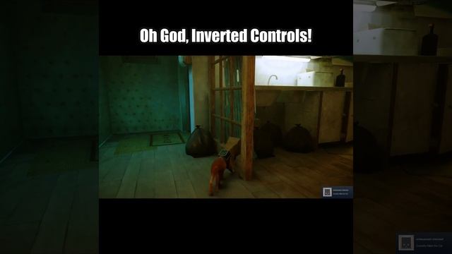 Stray Getting The Curiosity Killed The Cat Achievement #Shorts смотреть онлайн