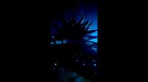 Клип в память Михаила Горшенева