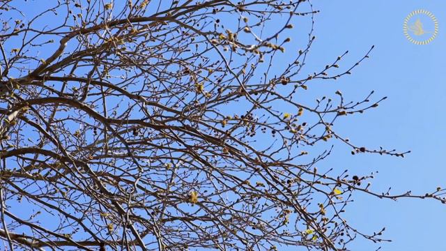 Ата-ана хаклары смотреть онлайн