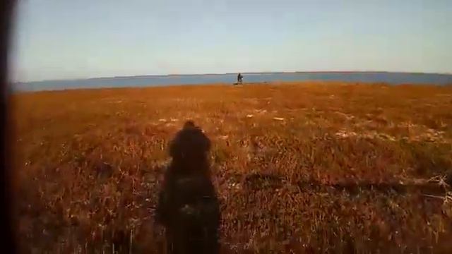 170 км обкатки смотреть онлайн