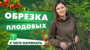 Обрезка плодовых. С чего начать?