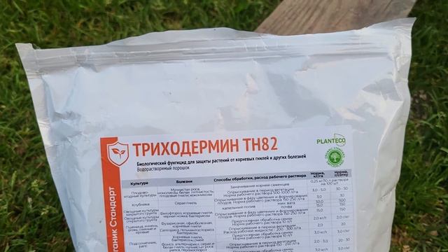 3 августа. Прогулка по моей даче вечером с розой Квиксильвер ??? смотреть онлайн