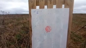 Эксперимент: Отстрел тестовых патронов с кольцами Элея  (2 кольца) из ружья ИЖ 27