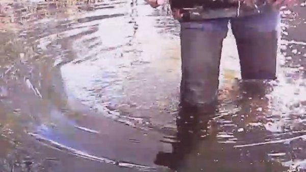 My SV. Deep flooding across Fish-swamp in my PVC DEMAR 3190 grand waders.