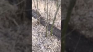 КАК СТРЕЛЯТЬ С МИНОМЁТА 82мм,обучения в стрельбе с миномёта,міномет,Стрільба с міномета 82мм