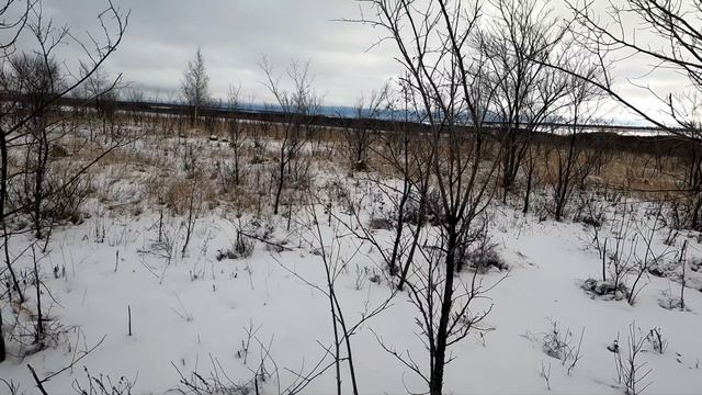 Охота на косулю с Зайцем смотреть онлайн