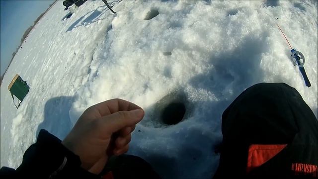 Так мы ловим в городской черте! Окунь на мормышку, щука на жерлицы! Удачная рыбалка в глухозимье смотреть онлайн