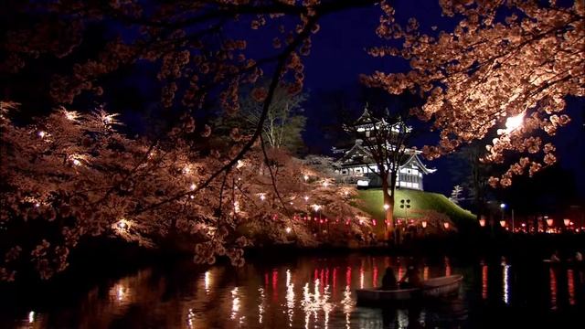 Япония, префектура Ниигата. Сакура на фоне старинного замка. смотреть онлайн