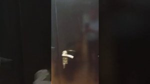 Доводчик GEZE TS1500 G со скользящим каналом. Закрывает тяжелую металлическую дверь.