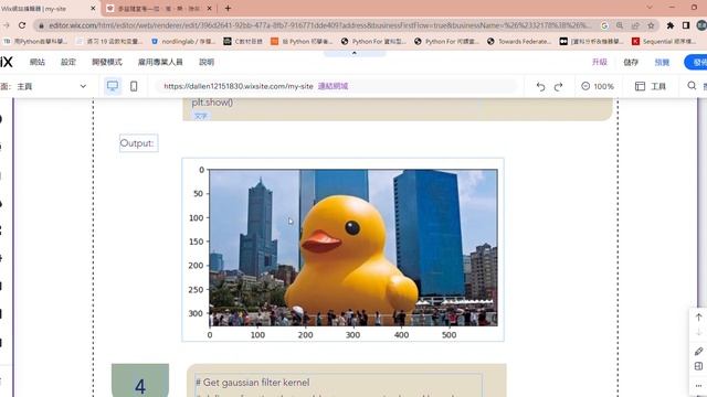 Gaussian Filter practice without opencv смотреть онлайн