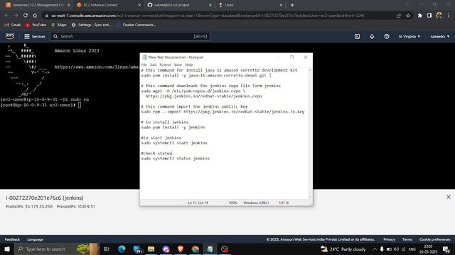 How to install Jenkins in Amazon Linux 2023 смотреть онлайн