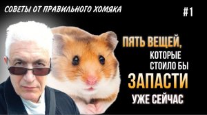 Павел Дартс - советы от правильного хомяка №1. Что стоило бы запасти уже сейчас