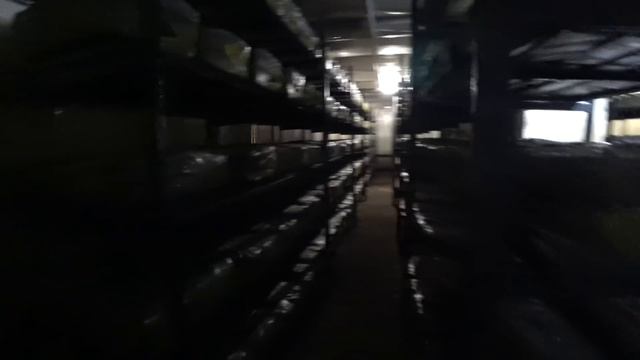 Выращивание Шампиньонов. Камеры 17 и 20 Тонн. Бизнес на грибах смотреть онлайн