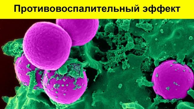 Даже один ГРЕЦКИЙ ОРЕХ вызывает НЕОБРАТИМЫЙ процесс в организме смотреть онлайн