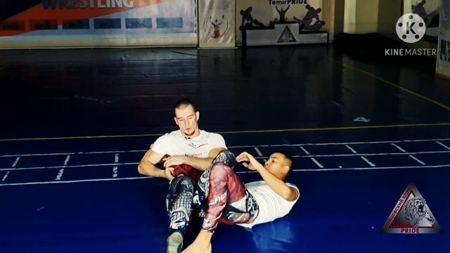 Рычаг колена! Болевой приём! SUBMISSION! TemirPRIDE!
