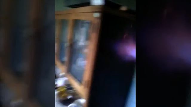 Убийство тараканов(огнем) 16 смотреть онлайн