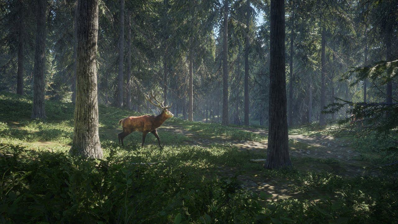 theHunter: Call of the Wild МЕНЯ БРАТ ПОЗВАЛ НА ОХОТУ смотреть онлайн