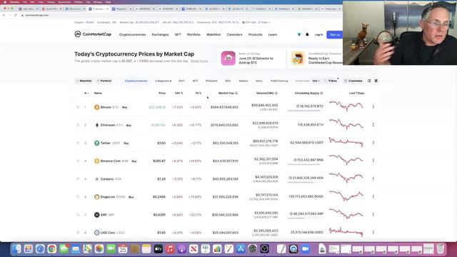 ARE DOGECOIN AND SHIBA INU MARRIED? IS IT A HAPPY MARRIAGE? DO YOU AGREE WITH ME?! смотреть онлайн