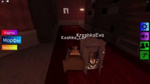 КОШКА ЛАНА ШЛЕПА КРОВАТЬ КРУТОЕ ПРОХОЖДЕНИЕ