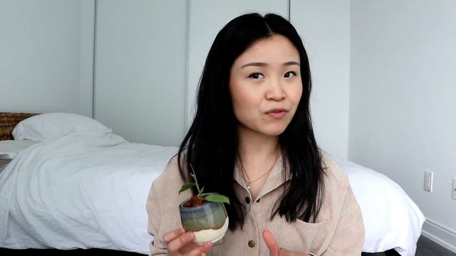 April Collective Houseplant Haul | Wishlist Plants Acquired смотреть онлайн