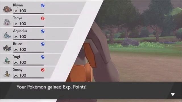 Pokémon Shield: Shiny Purrloin On New Year's Eve! смотреть онлайн