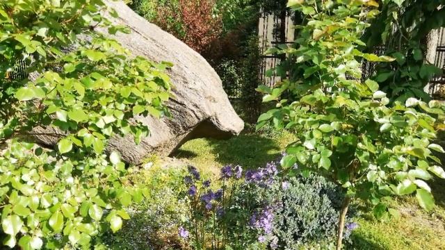 ЛАТВИЯ. Добеле. Сад камней семьи Стелмахеров смотреть онлайн