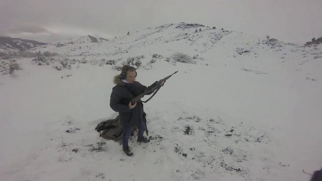 Springfield Armory M1A Shooting 2 смотреть онлайн