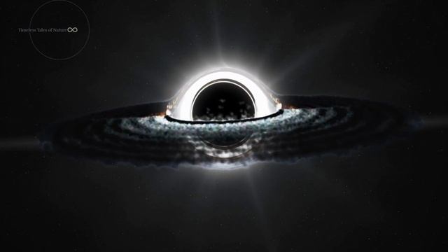 Black Holes: Portals to the Unknown! смотреть онлайн