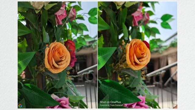 Google Pixel 7a vs OnePlus 11r Camera Comparison - Google Pixel 7a Camera Review & Camera Test смотреть онлайн