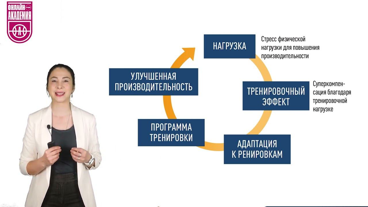 Тренировочный стимул. Урок 2. Терминология смотреть онлайн