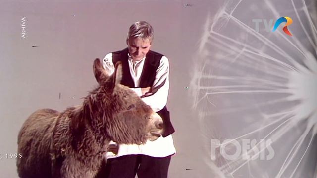 Radu Beligan recită ”Gura lumii” de Tudor Arghezi смотреть онлайн
