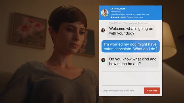 Ask a Licensed Dog Veterinarian Online | JustAnswer смотреть онлайн