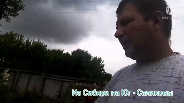 ? Полезно знать! Кто имеет право на бесплатный проезд на юг? Прописка Кате. Ограда.5 июля 2021 г. смотреть онлайн