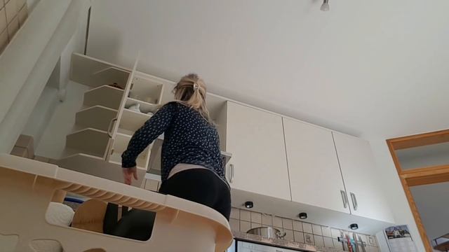 ПЕРВАЯ НОЧЬ В ДОМЕ. ПРИВЕЗЛИ ПУШКА. ПЕРЕВЕЗЛИ КРОВАТЬ. РОДИТЕЛИ НАС КОРМЯТ. ДОМ В АРЕНДУ. смотреть онлайн