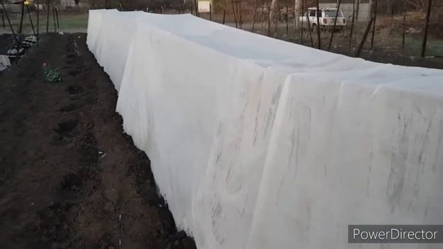 Укрытие агроволокном винограда ранней весной. смотреть онлайн