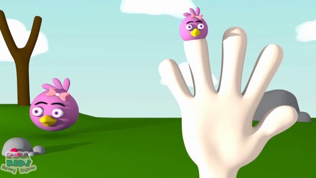 ANGRY BIRDS Family 3D Animation Nursery Rhymes Finger Family Song For Children and Kids by Savava смотреть онлайн