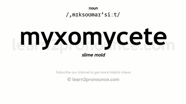 Pronunciation of Myxomycete | Definition of Myxomycete смотреть онлайн