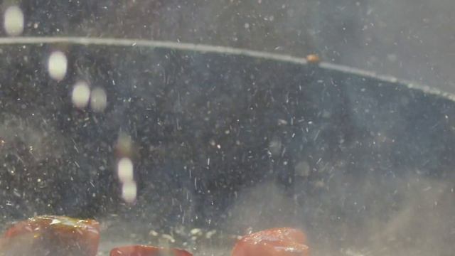 This Secret Trick Will Stop Splattering Oil Forever