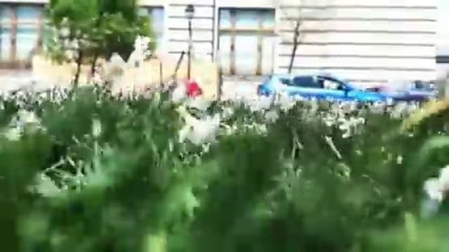 Звонок по номеру, где приобретена сим-карта... смотреть онлайн