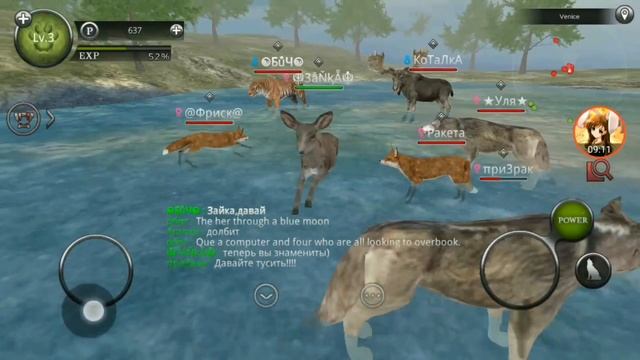 Wild Animals Online#Сходка*Квесты смотреть онлайн