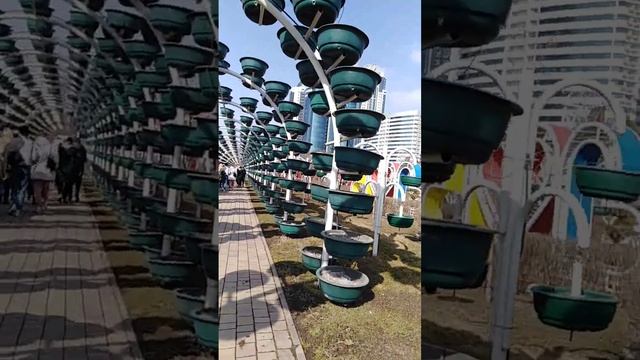 Грозный. Парк цветов. смотреть онлайн