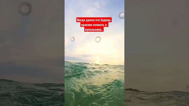 Жиза?🤣🤣 #юмор #путешествие #тайланд смотреть онлайн