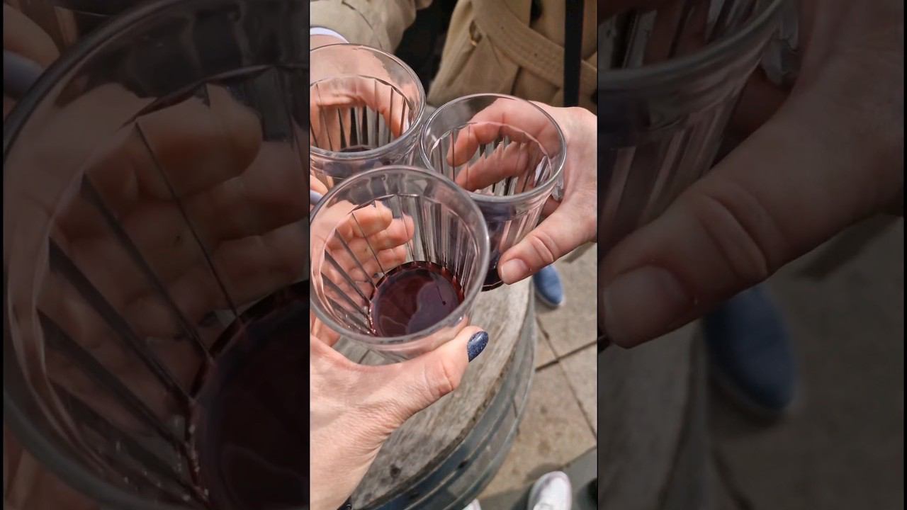 Самый лучший грузинский ресторан на ДВ ,,Супра,, #жизньвовремяпутешествий #песковыпутешествуют смотреть онлайн