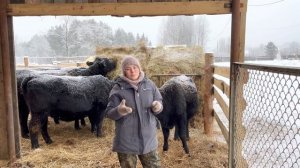 АГРОСТАРТАП И ВЫГОДНО ЛИ СЕЛЬСКОЕ ХОЗЯЙСТВО?