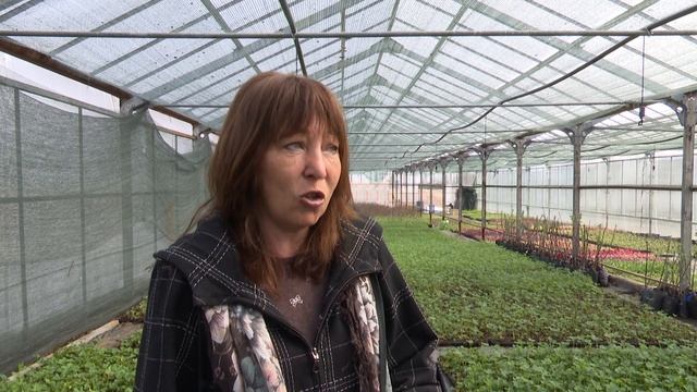 Писцовы садоводы смотреть онлайн