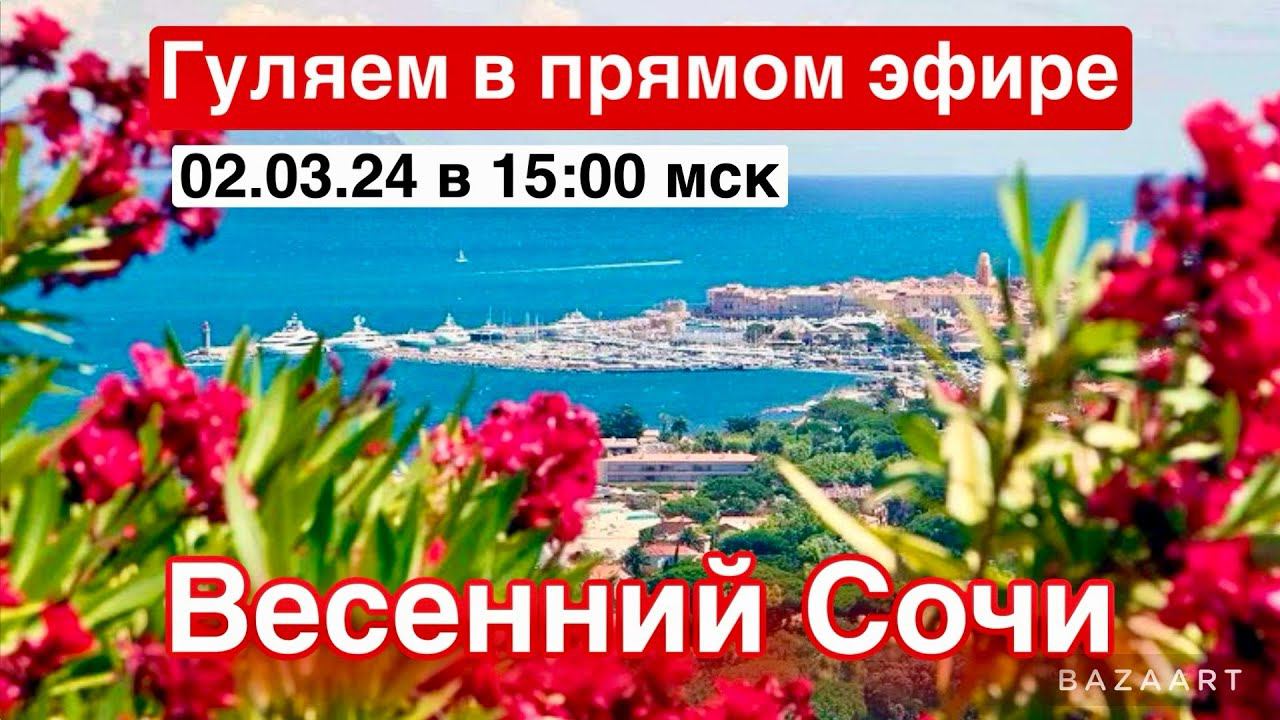 Прямой эфир! Погуляем в Сочи. Розыгрыш приза! смотреть онлайн