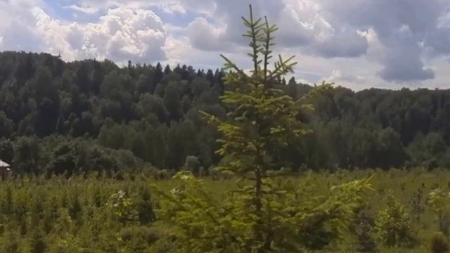 Колокольный звон смотреть онлайн